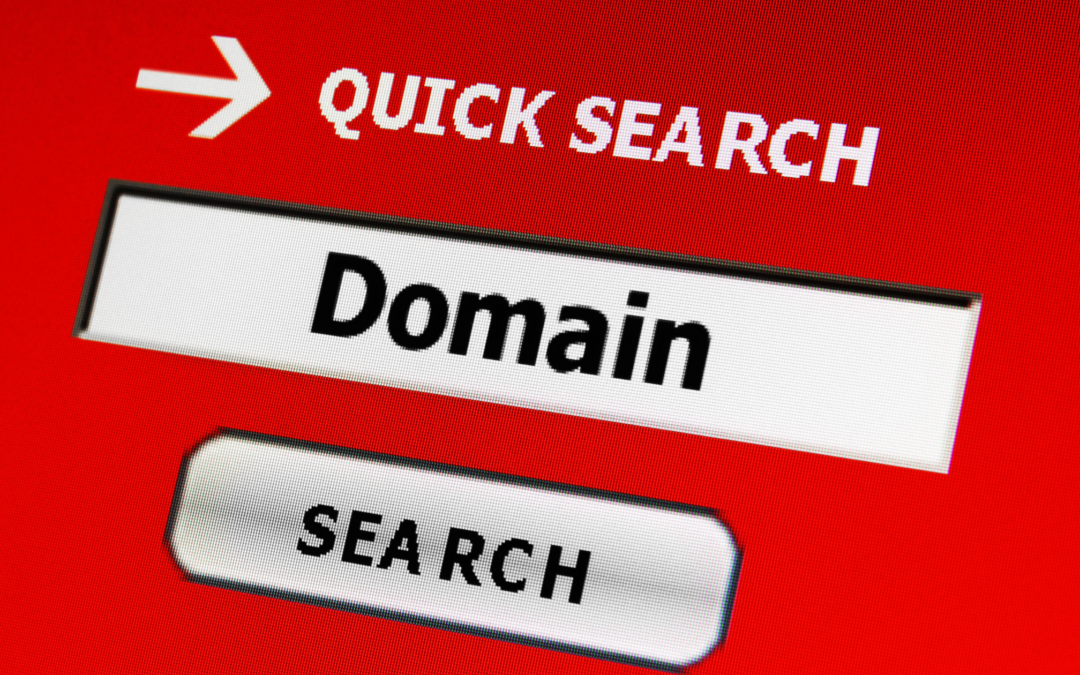The Power of Domain Reservations: Why You Should Secure Your Found Domains